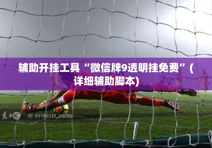 辅助开挂工具“微信牌9透明挂免费”(详细辅助脚本)