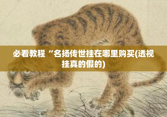 必看教程“名扬传世挂在哪里购买(透视挂真的假的)