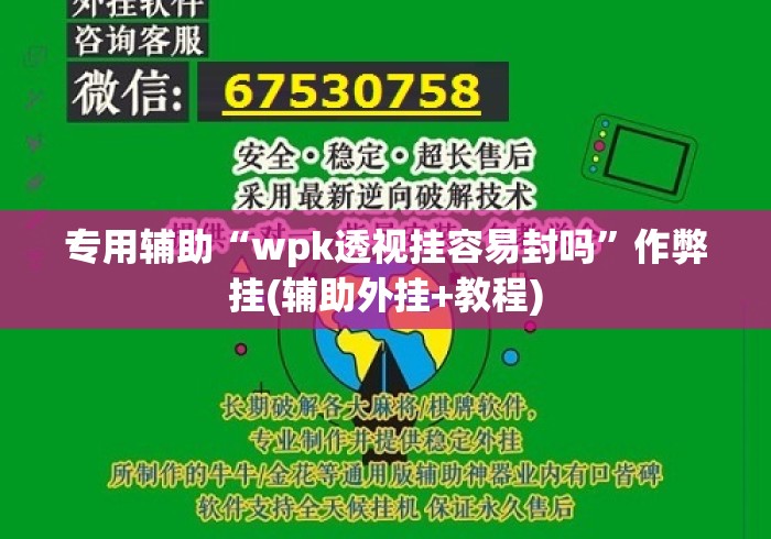 专用辅助“wpk透视挂容易封吗”作弊挂(辅助外挂+教程)