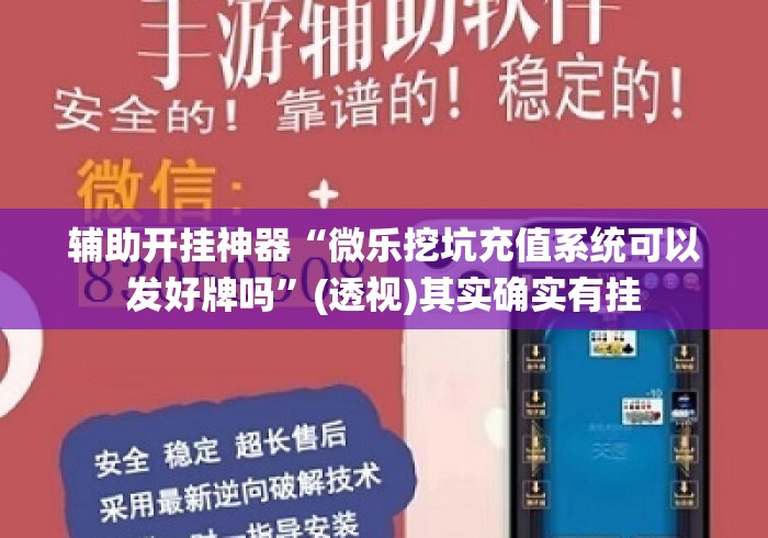 辅助开挂神器“微乐挖坑充值系统可以发好牌吗”(透视)其实确实有挂