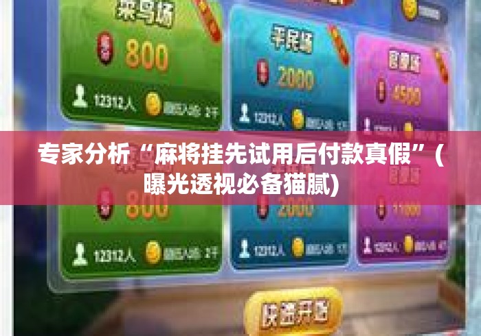 专家分析“麻将挂先试用后付款真假”(曝光透视必备猫腻)