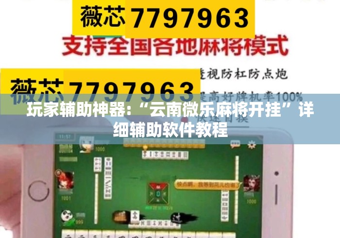 玩家辅助神器:“云南微乐麻将开挂”详细辅助软件教程