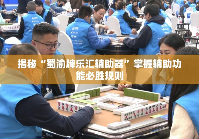 揭秘“蜀渝牌乐汇辅助器	”掌握辅助功能必胜规则