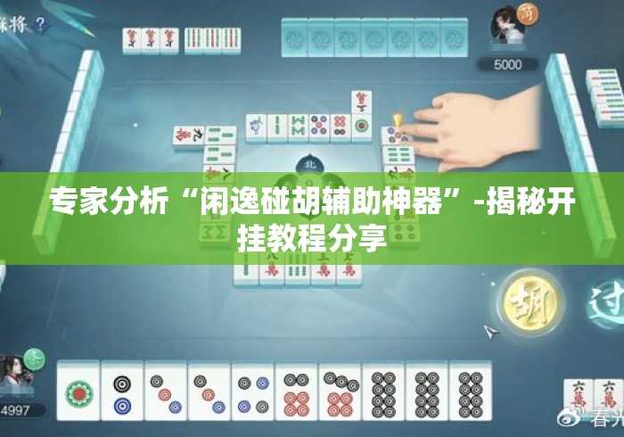 专家分析“闲逸碰胡辅助神器”-揭秘开挂教程分享