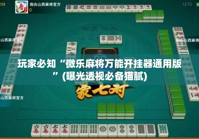 玩家必知“微乐麻将万能开挂器通用版	”(曝光透视必备猫腻)