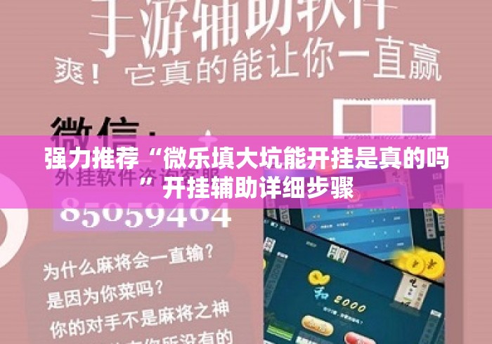 强力推荐“微乐填大坑能开挂是真的吗”开挂辅助详细步骤