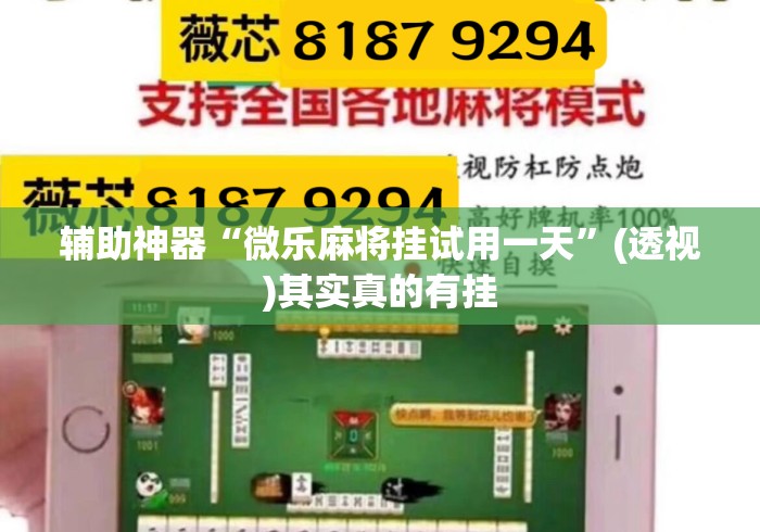 辅助神器“微乐麻将挂试用一天”(透视)其实真的有挂