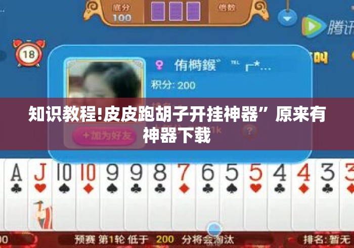 知识教程!皮皮跑胡子开挂神器”原来有神器下载