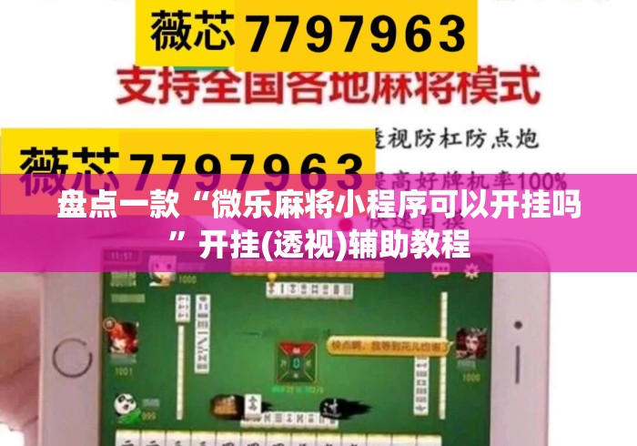 盘点一款“微乐麻将小程序可以开挂吗”开挂(透视)辅助教程