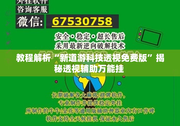 教程解析“新道游科技透视免费版”揭秘透视辅助万能挂 