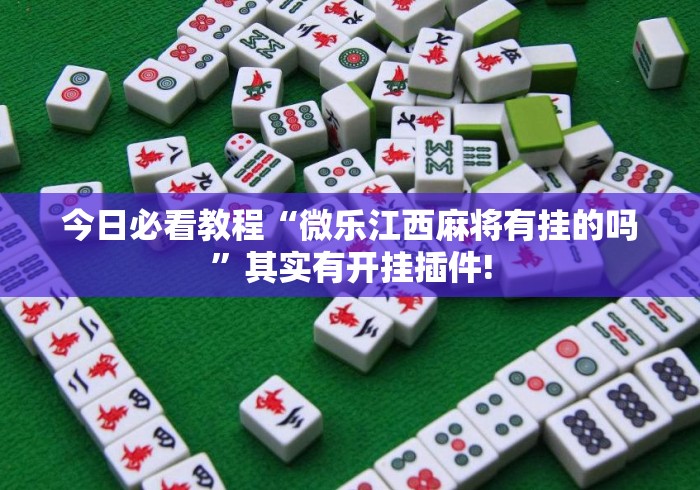 今日必看教程“微乐江西麻将有挂的吗”其实有开挂插件!