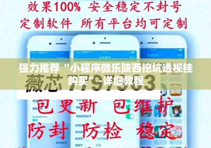 强力推荐“小程序微乐陕西挖坑透视挂购买”-详细教程