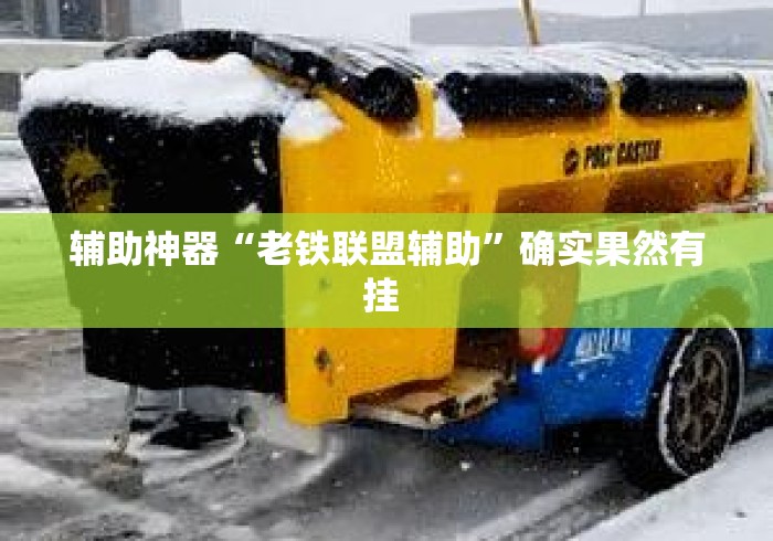 辅助神器“老铁联盟辅助”确实果然有挂 