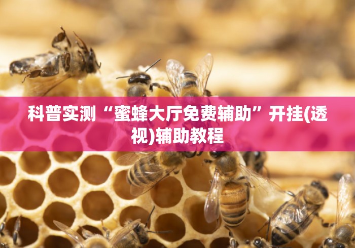 科普实测“蜜蜂大厅免费辅助	”开挂(透视)辅助教程