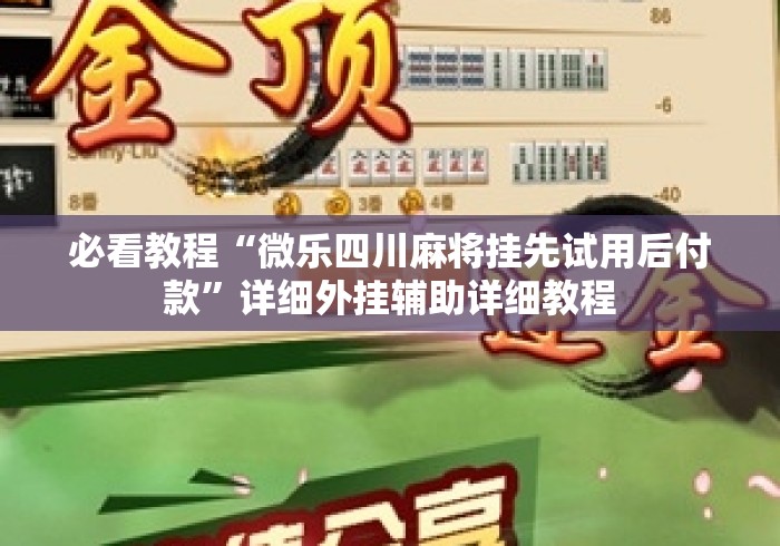 必看教程“微乐四川麻将挂先试用后付款	”详细外挂辅助详细教程