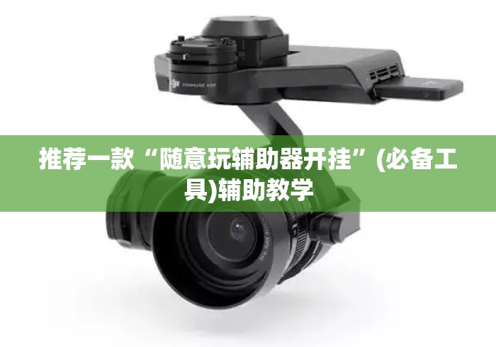 推荐一款“随意玩辅助器开挂”(必备工具)辅助教学