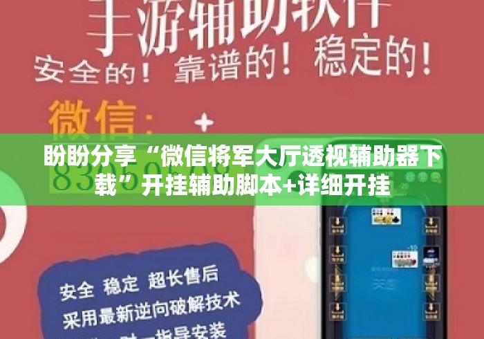 盼盼分享“微信将军大厅透视辅助器下载”开挂辅助脚本+详细开挂