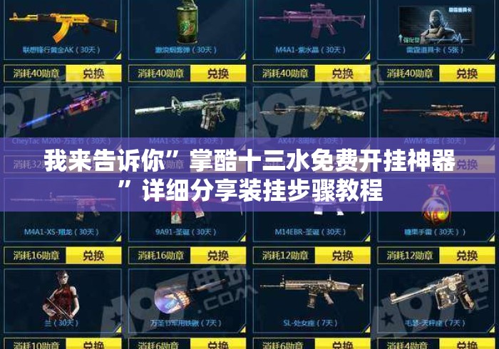我来告诉你”掌酷十三水免费开挂神器”详细分享装挂步骤教程