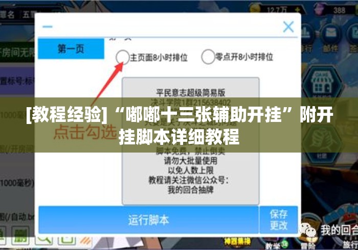 [教程经验]“嘟嘟十三张辅助开挂	”附开挂脚本详细教程