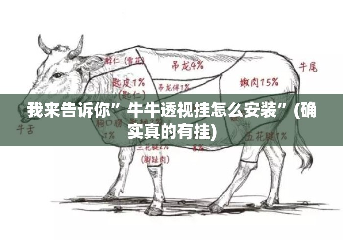 我来告诉你	”牛牛透视挂怎么安装”(确实真的有挂)