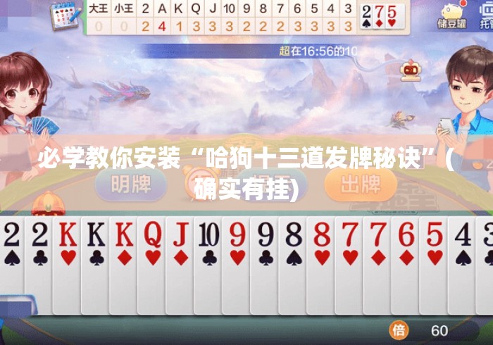 必学教你安装“哈狗十三道发牌秘诀”(确实有挂)