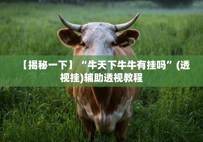 【揭秘一下】“牛天下牛牛有挂吗”(透视挂)辅助透视教程