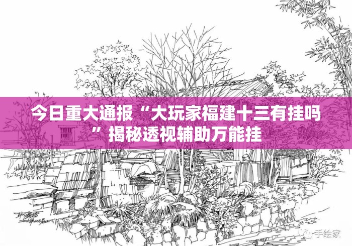 今日重大通报“大玩家福建十三有挂吗”揭秘透视辅助万能挂