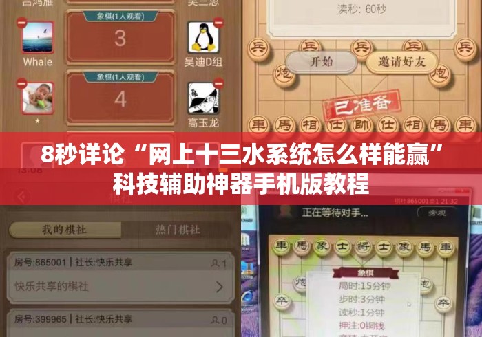 8秒详论“网上十三水系统怎么样能赢”科技辅助神器手机版教程