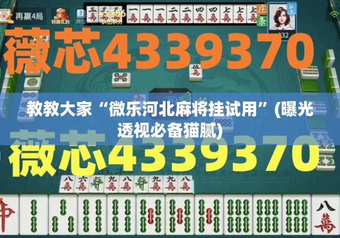 教教大家“微乐河北麻将挂试用	”(曝光透视必备猫腻)
