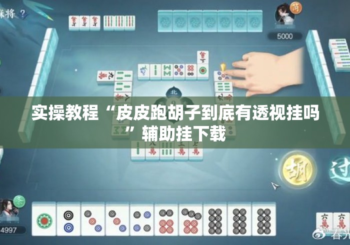 实操教程“皮皮跑胡子到底有透视挂吗	”辅助挂下载