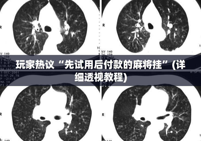 玩家热议“先试用后付款的麻将挂”(详细透视教程)