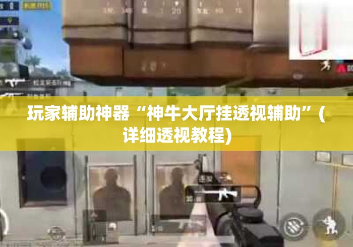 玩家辅助神器“神牛大厅挂透视辅助”(详细透视教程)