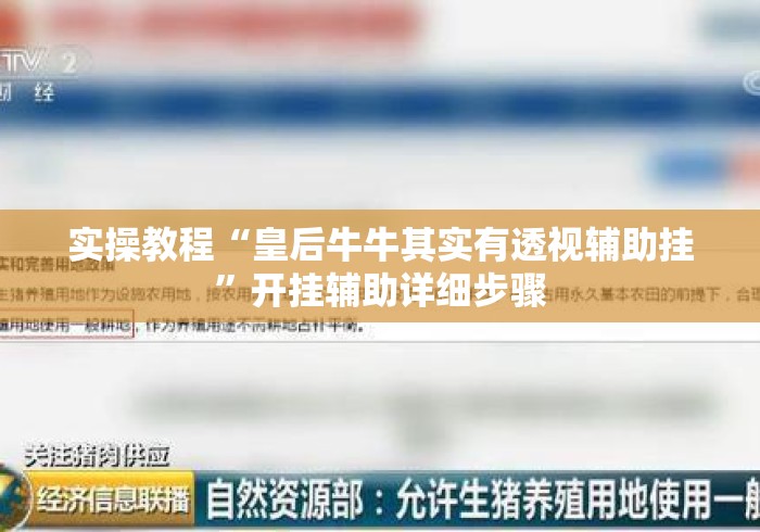 实操教程“皇后牛牛其实有透视辅助挂”开挂辅助详细步骤