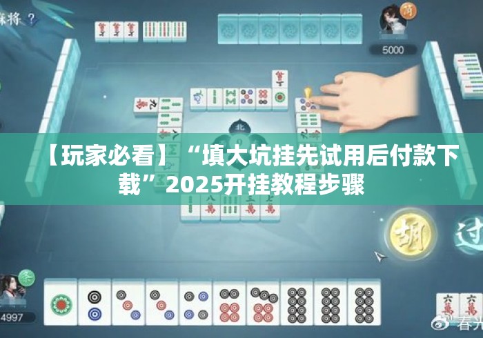 【玩家必看】“填大坑挂先试用后付款下载”2025开挂教程步骤