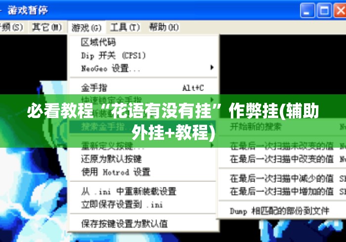 必看教程“花语有没有挂	”作弊挂(辅助外挂+教程)