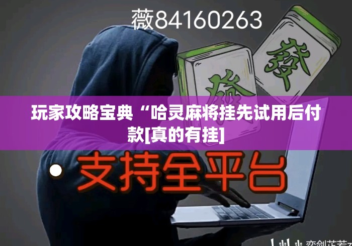玩家攻略宝典“哈灵麻将挂先试用后付款[真的有挂]