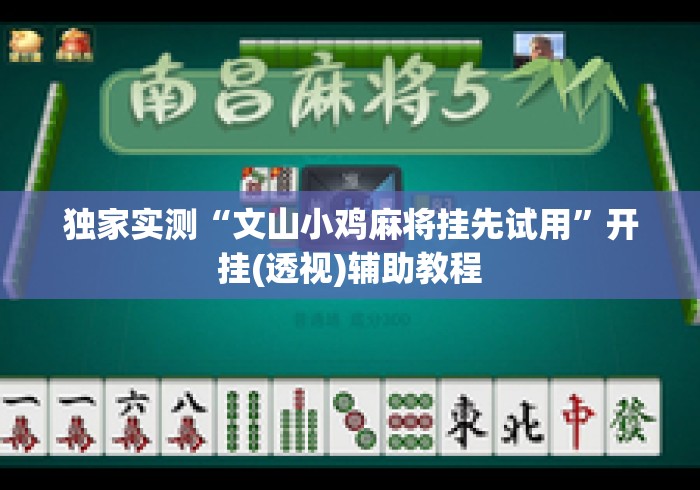 独家实测“文山小鸡麻将挂先试用”开挂(透视)辅助教程