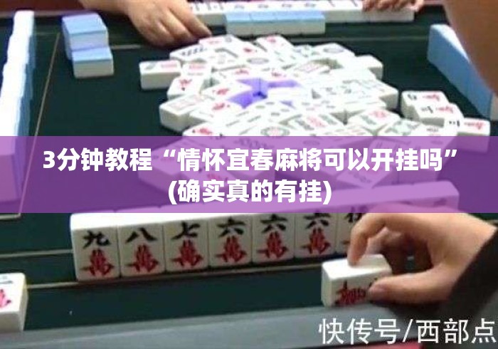 3分钟教程“情怀宜春麻将可以开挂吗”(确实真的有挂)
