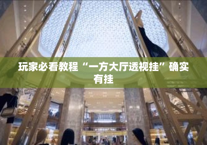 玩家必看教程“一方大厅透视挂”确实有挂