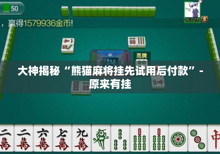 大神揭秘“熊猫麻将挂先试用后付款”-原来有挂