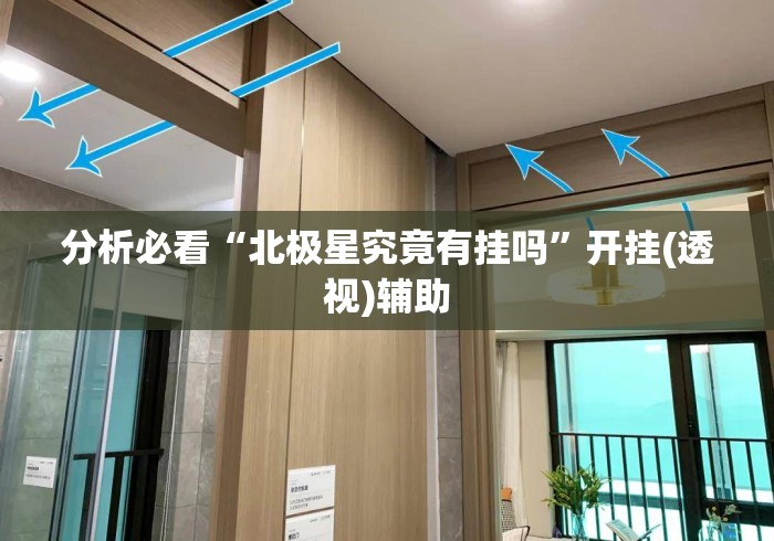 分析必看“北极星究竟有挂吗	”开挂(透视)辅助