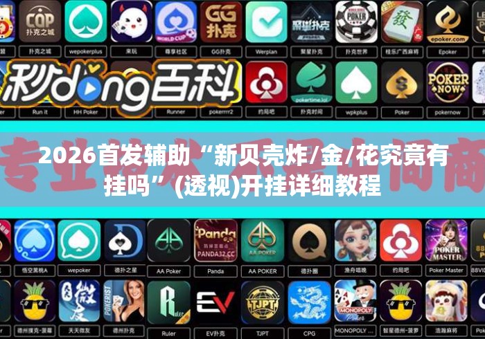 2026首发辅助“新贝壳炸/金/花究竟有挂吗”(透视)开挂详细教程