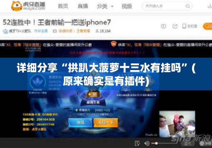 详细分享“拱趴大菠萝十三水有挂吗”(原来确实是有插件)