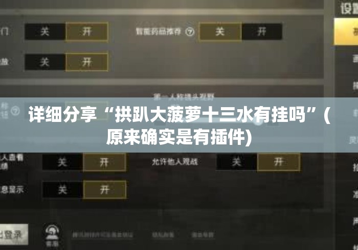 详细分享“拱趴大菠萝十三水有挂吗	”(原来确实是有插件)