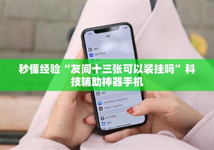 秒懂经验“友间十三张可以装挂吗	”科技辅助神器手机