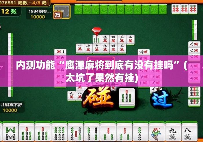 内测功能“鹰潭麻将到底有没有挂吗”(太坑了果然有挂)