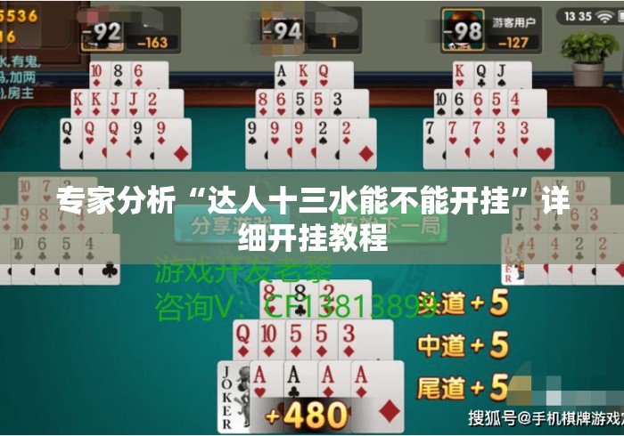 专家分析“达人十三水能不能开挂”详细开挂教程