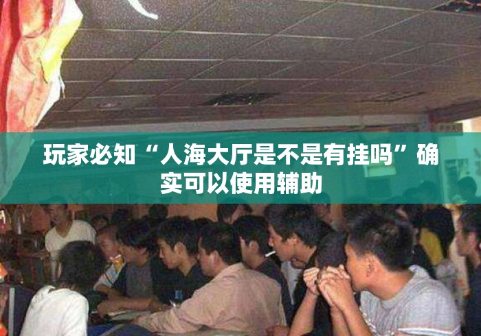 玩家必知“人海大厅是不是有挂吗”确实可以使用辅助