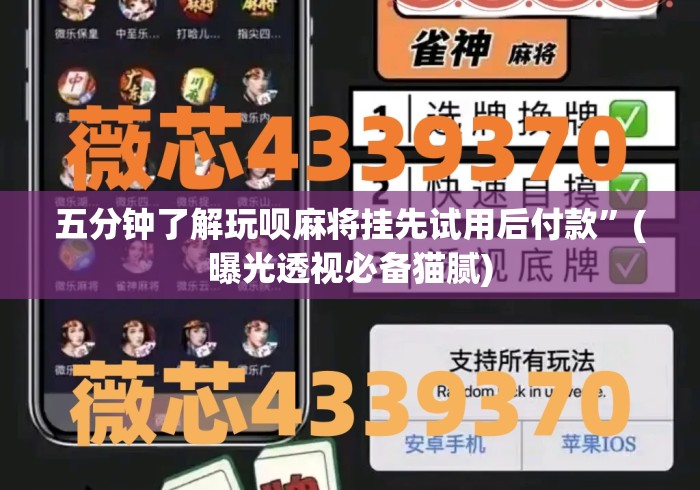 五分钟了解玩呗麻将挂先试用后付款”(曝光透视必备猫腻)