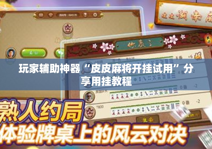 玩家辅助神器“皮皮麻将开挂试用”分享用挂教程
